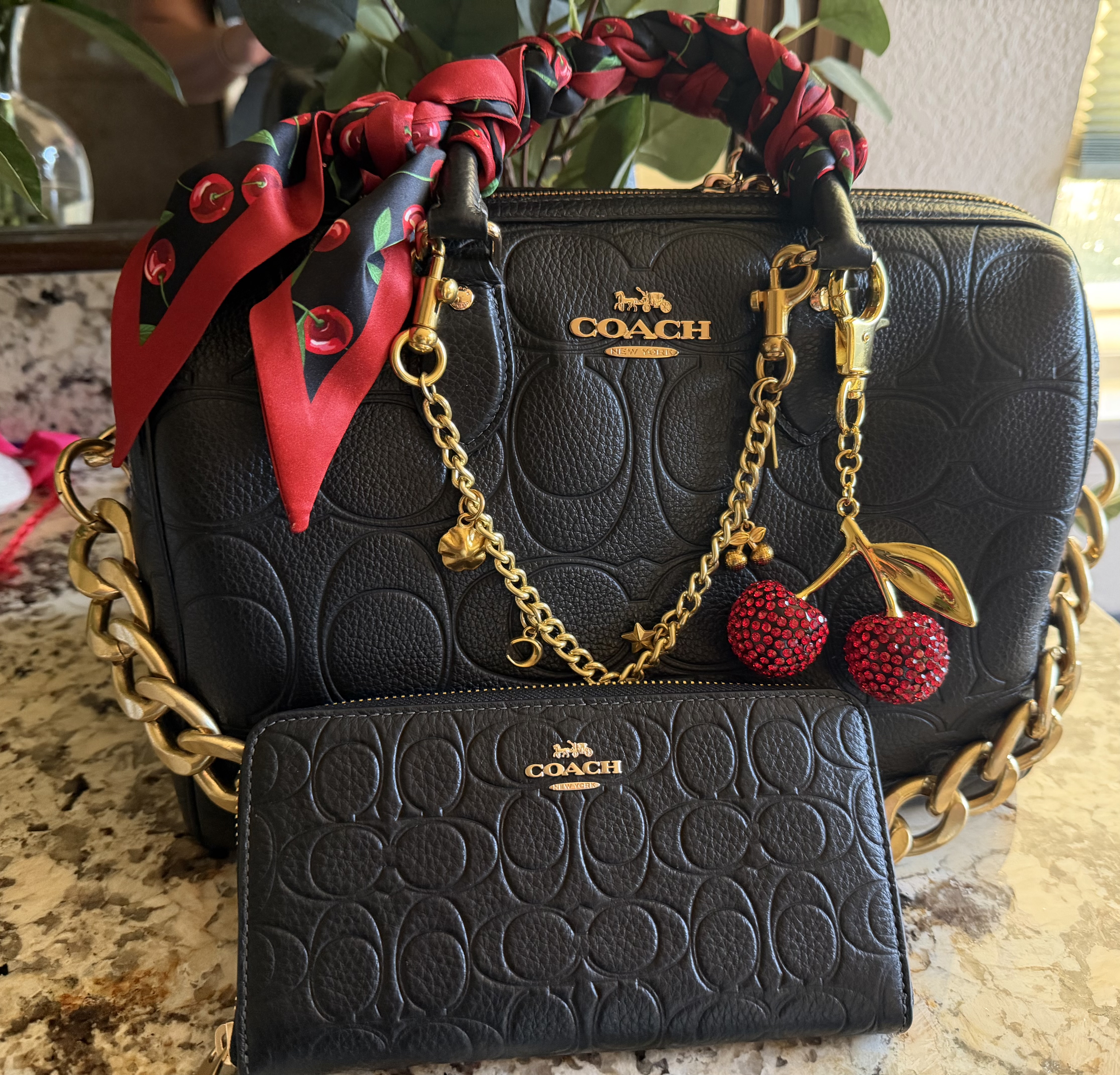 Long Zip Around Wallet With Butterfly Print | Wallets | Coach | COACH®