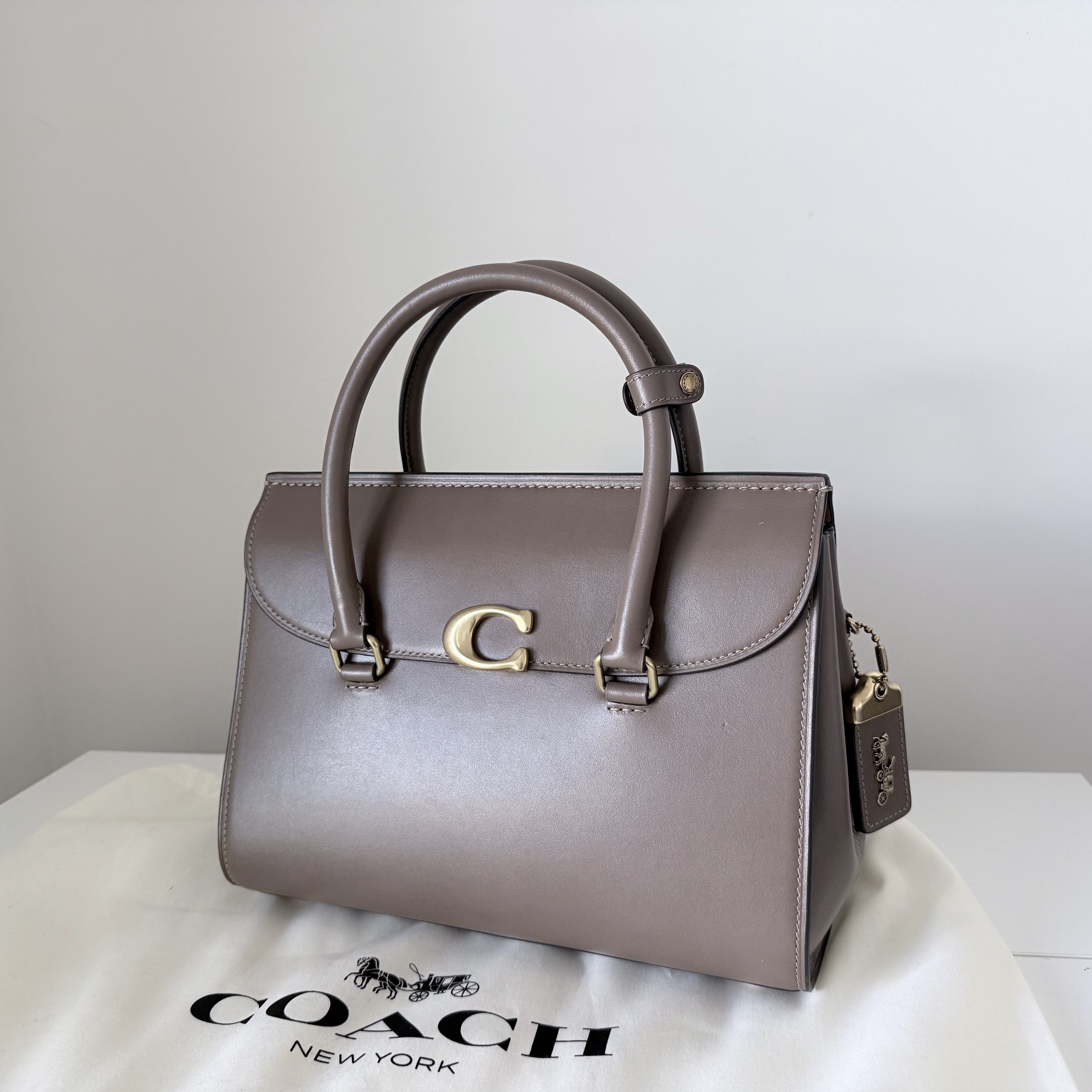 Custom Broome Carryall Bag | COACH®