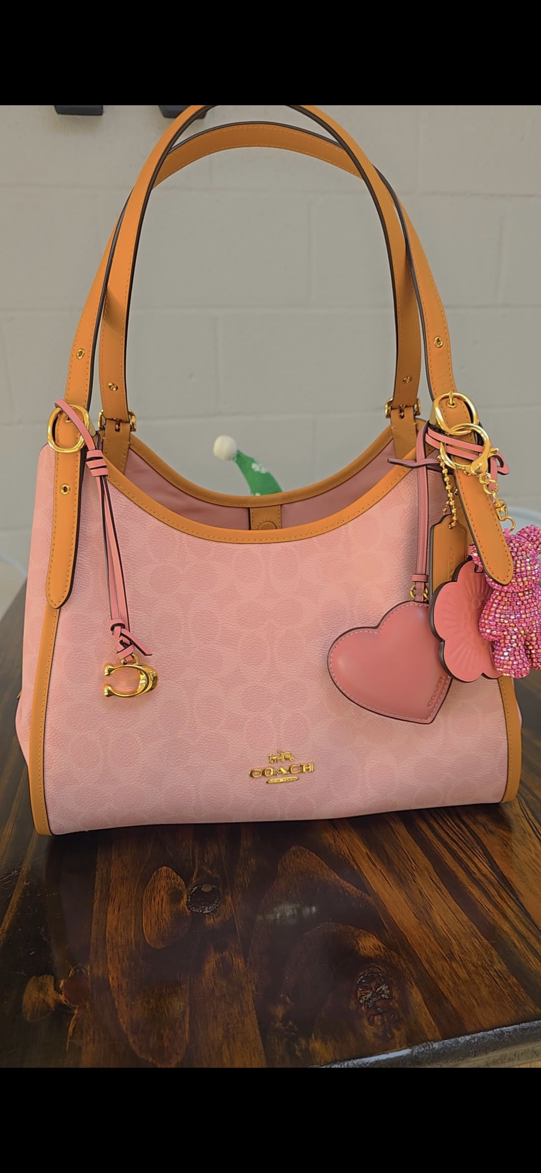 Erin Shoulder Bag In Signature Canvas With Charms | Bags | Coach