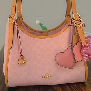 Erin Shoulder Bag In Signature Canvas With Charms | COACH®