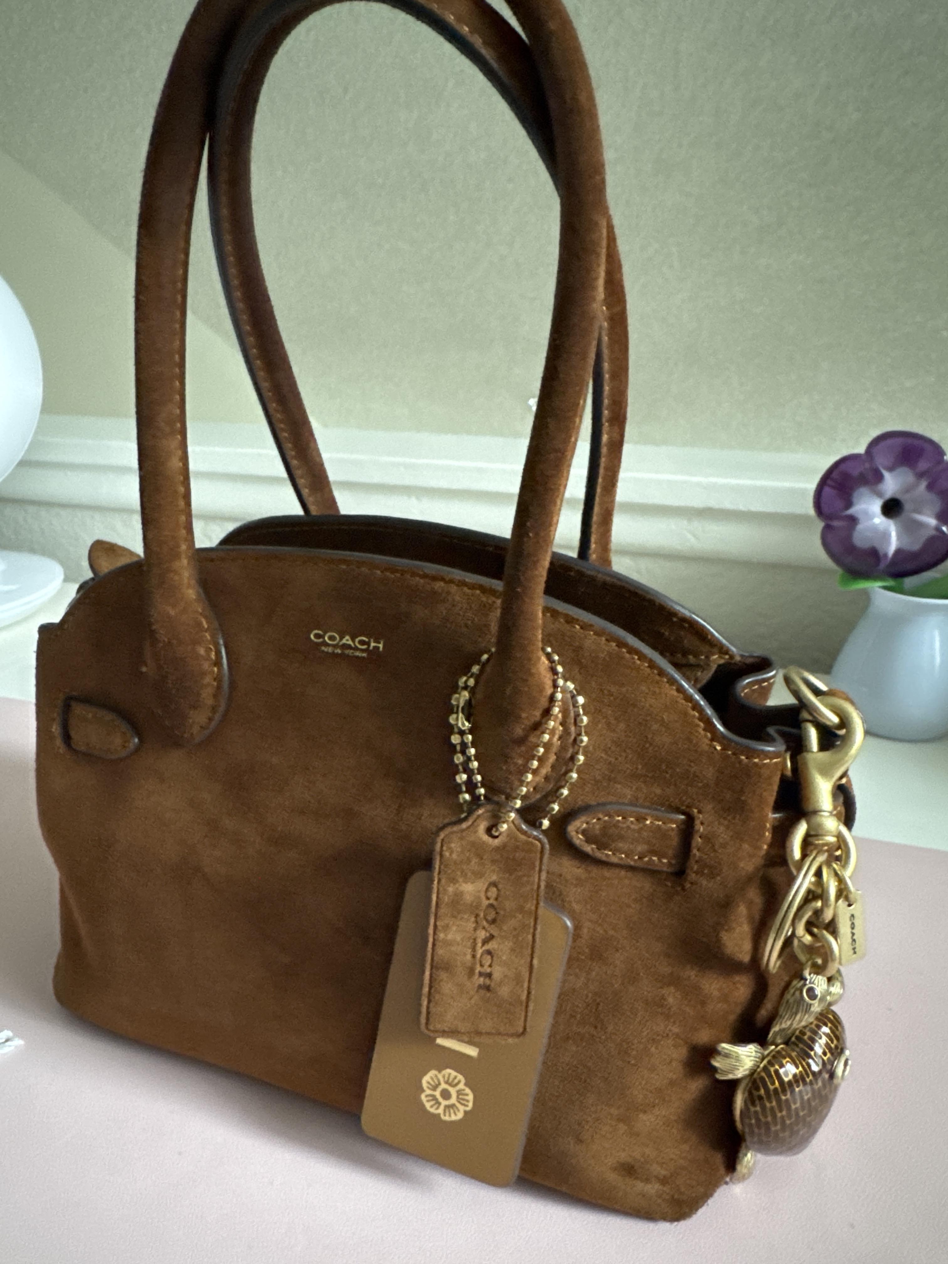 Turtle Bag Charm | COACH®