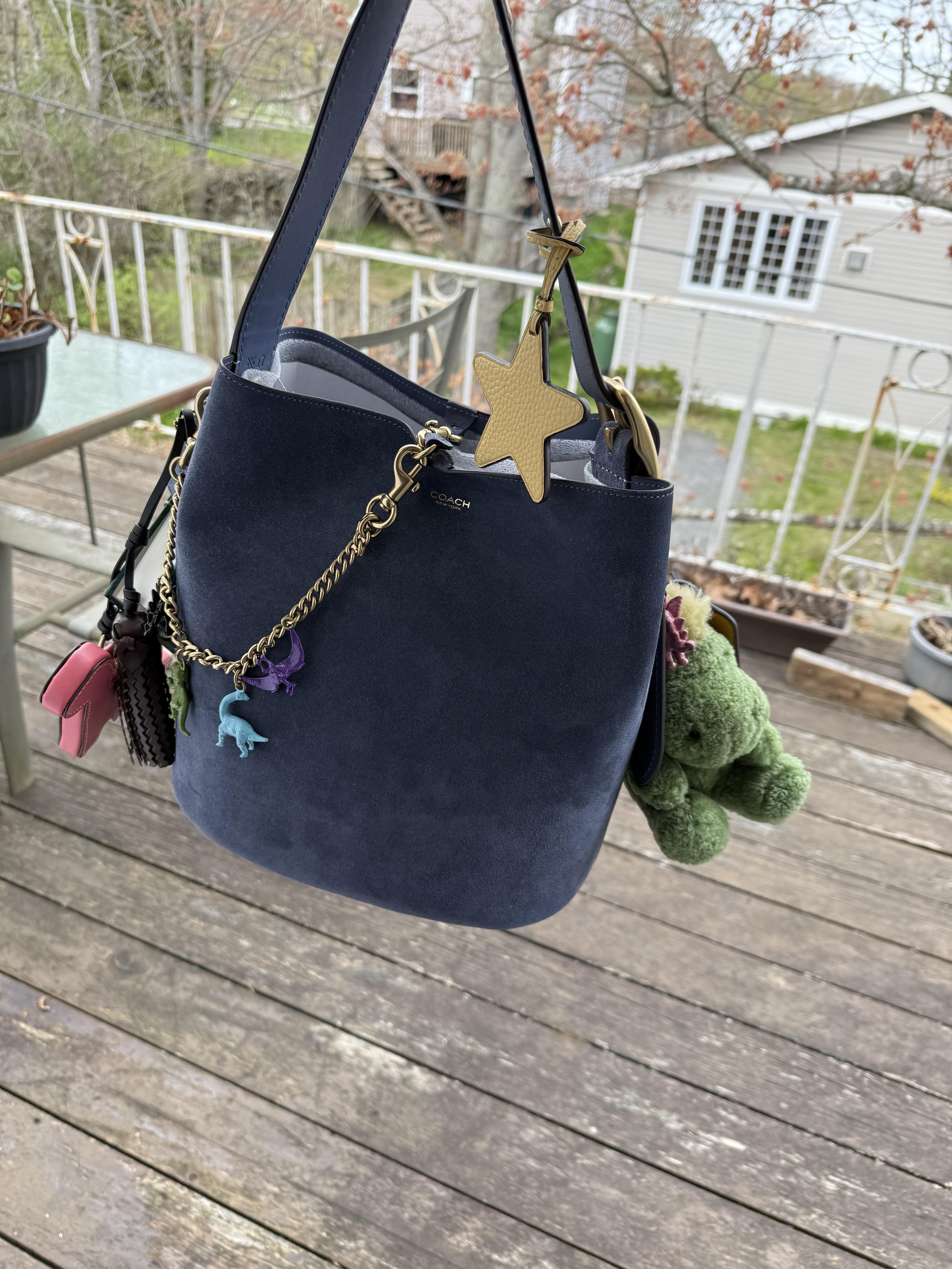 Bleecker Bucket Bag With Kisslock | COACH®