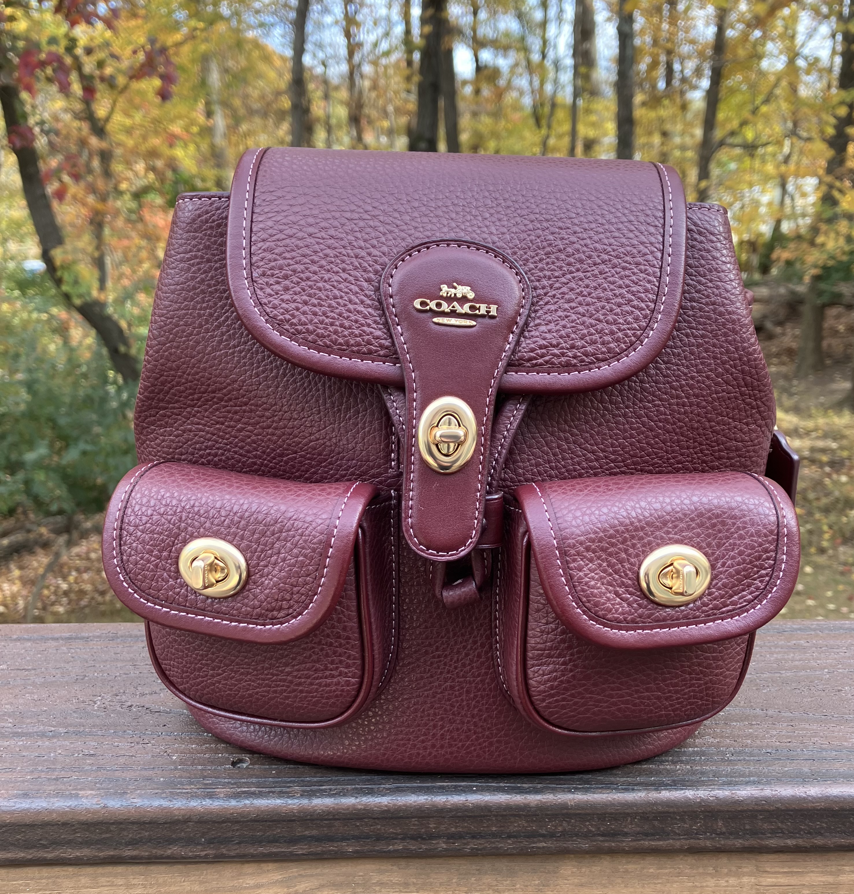 Hadley Backpack | COACH®