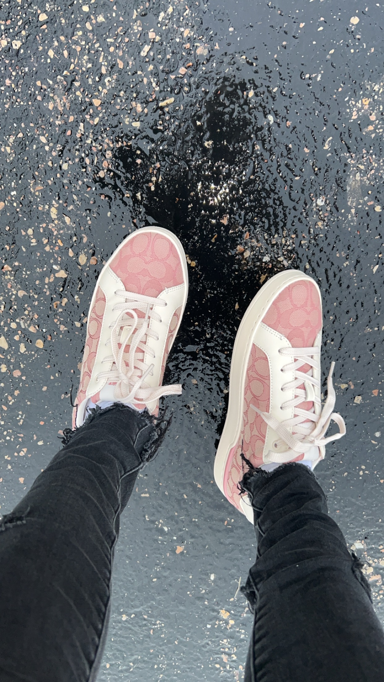 Coach X Peanuts Clip Low Top Sneaker With Snoopy Print | COACH®