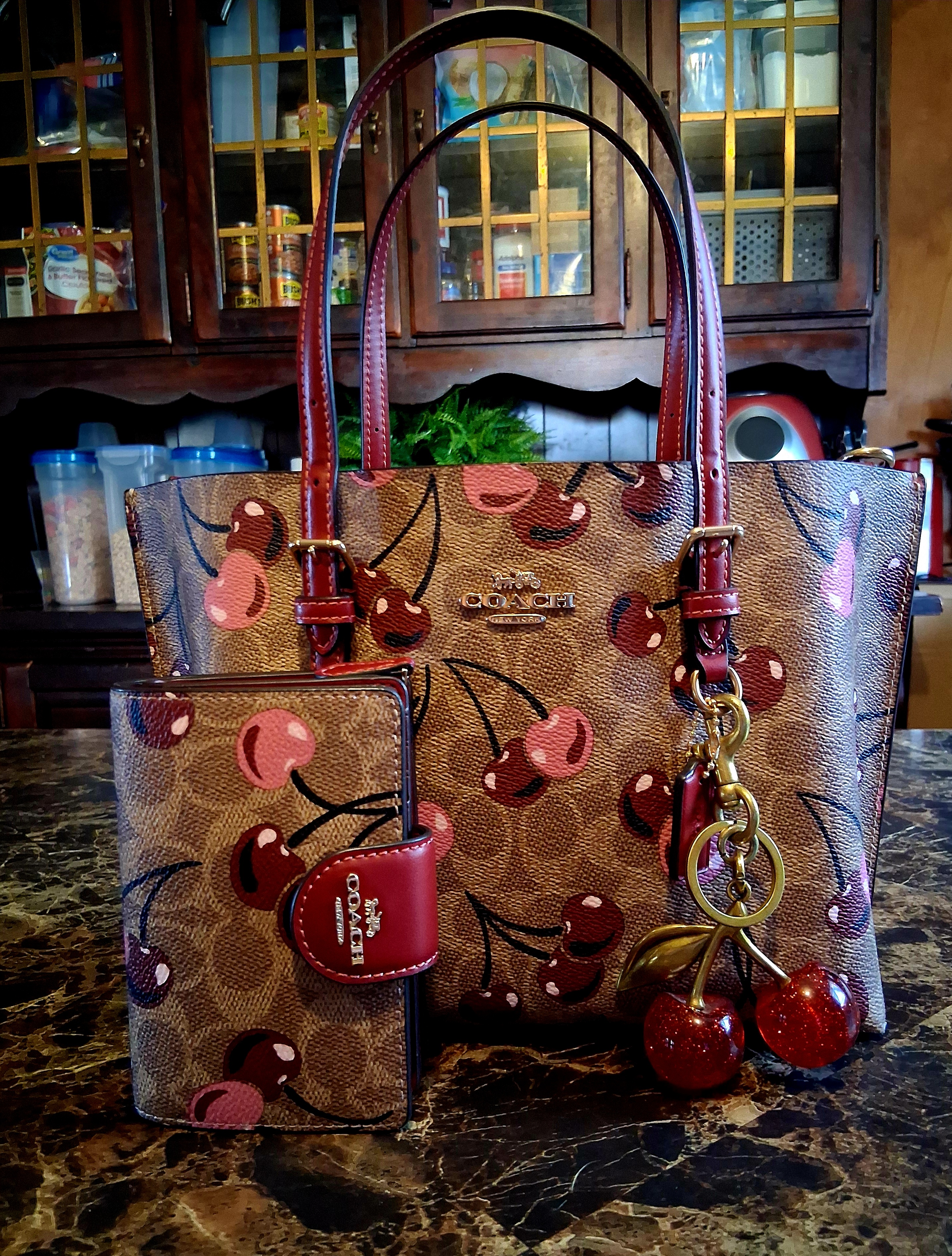 Mollie Tote Bag 25 | Bags | Coach | COACH®