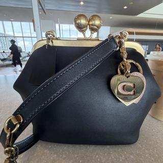 Restored Kisslock Frame Bag 16 | COACH®
