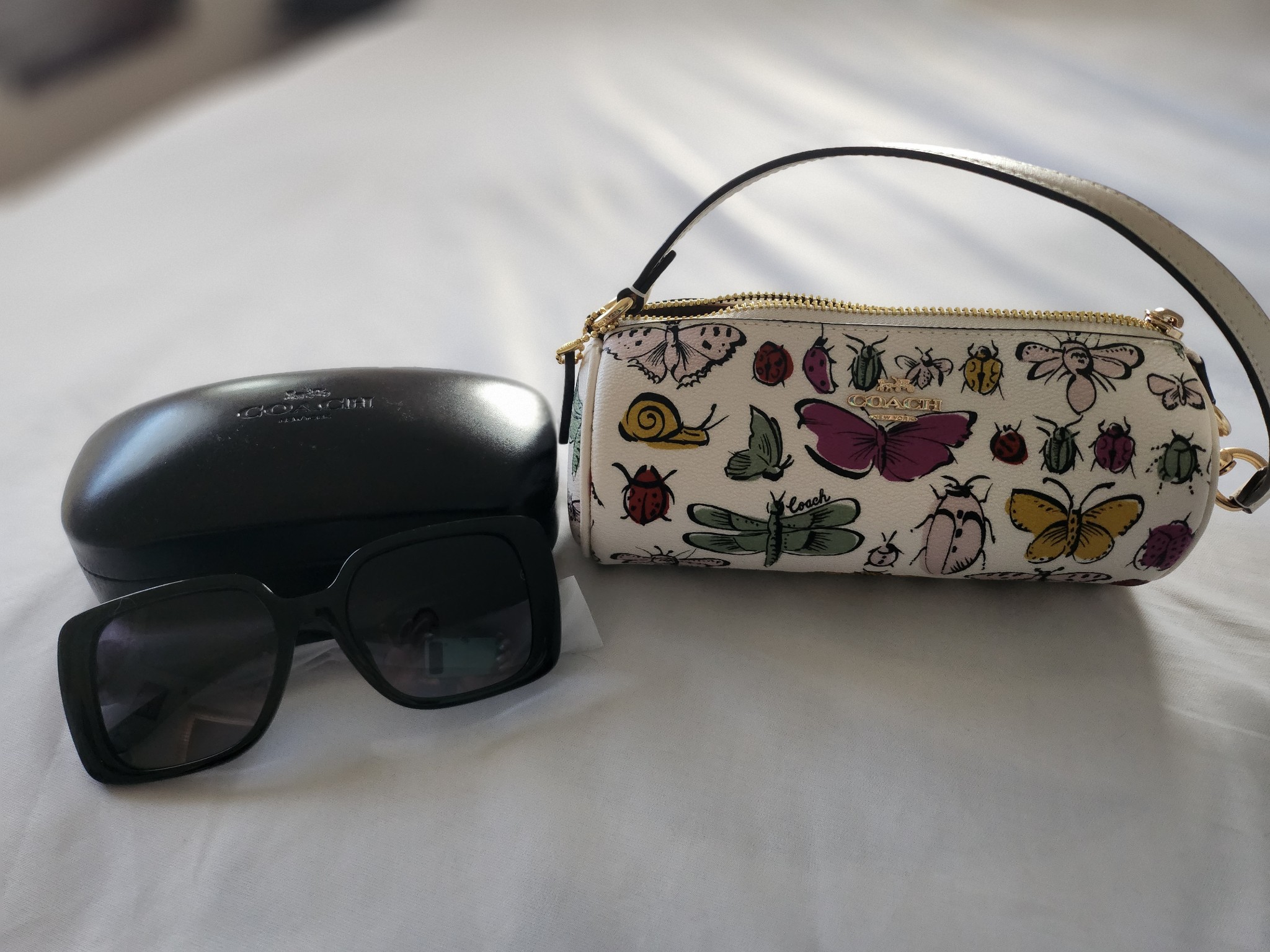 Oversized Square Sunglasses | Eyewear | Coach | COACH®
