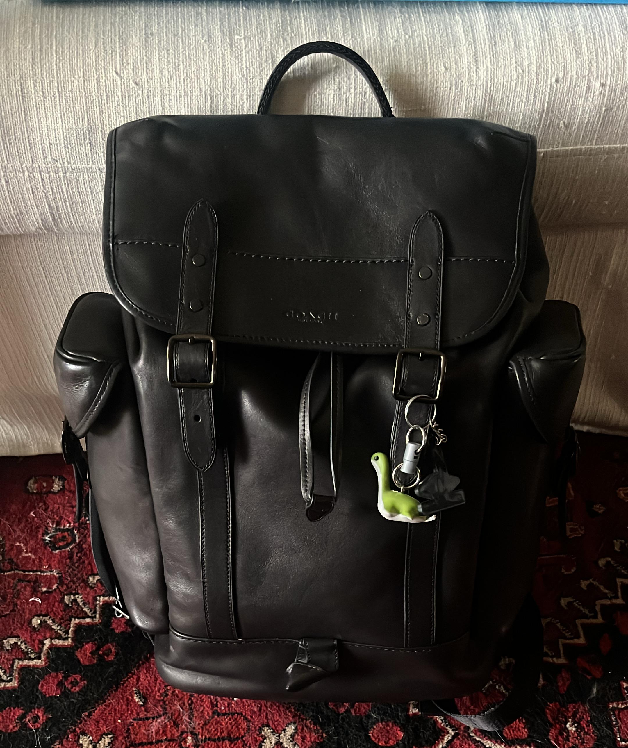 Hitch Backpack | COACH®