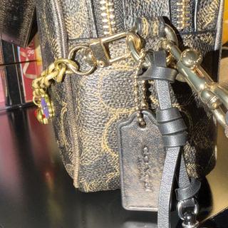 Mini Carey Crossbody Bag In Signature Canvas | Bags | Coach | COACH®