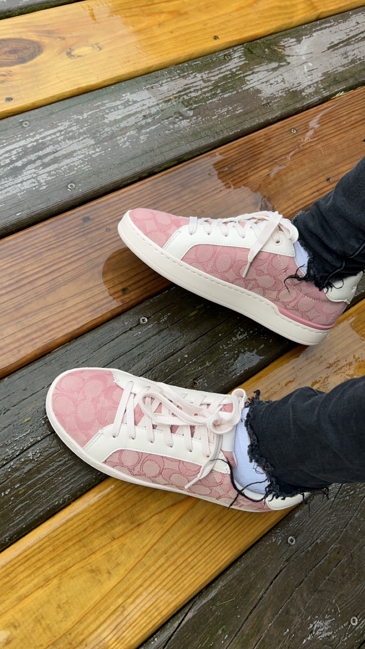 Coach X Peanuts Clip Low Top Sneaker With Snoopy Print | COACH®