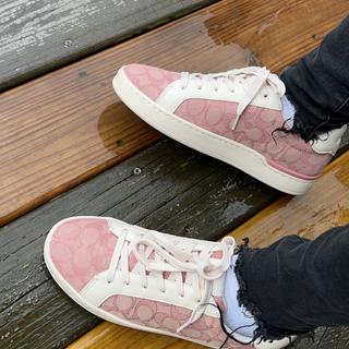 Clip Low Top Sneaker In Rainbow Signature Canvas | COACH® display picture 3