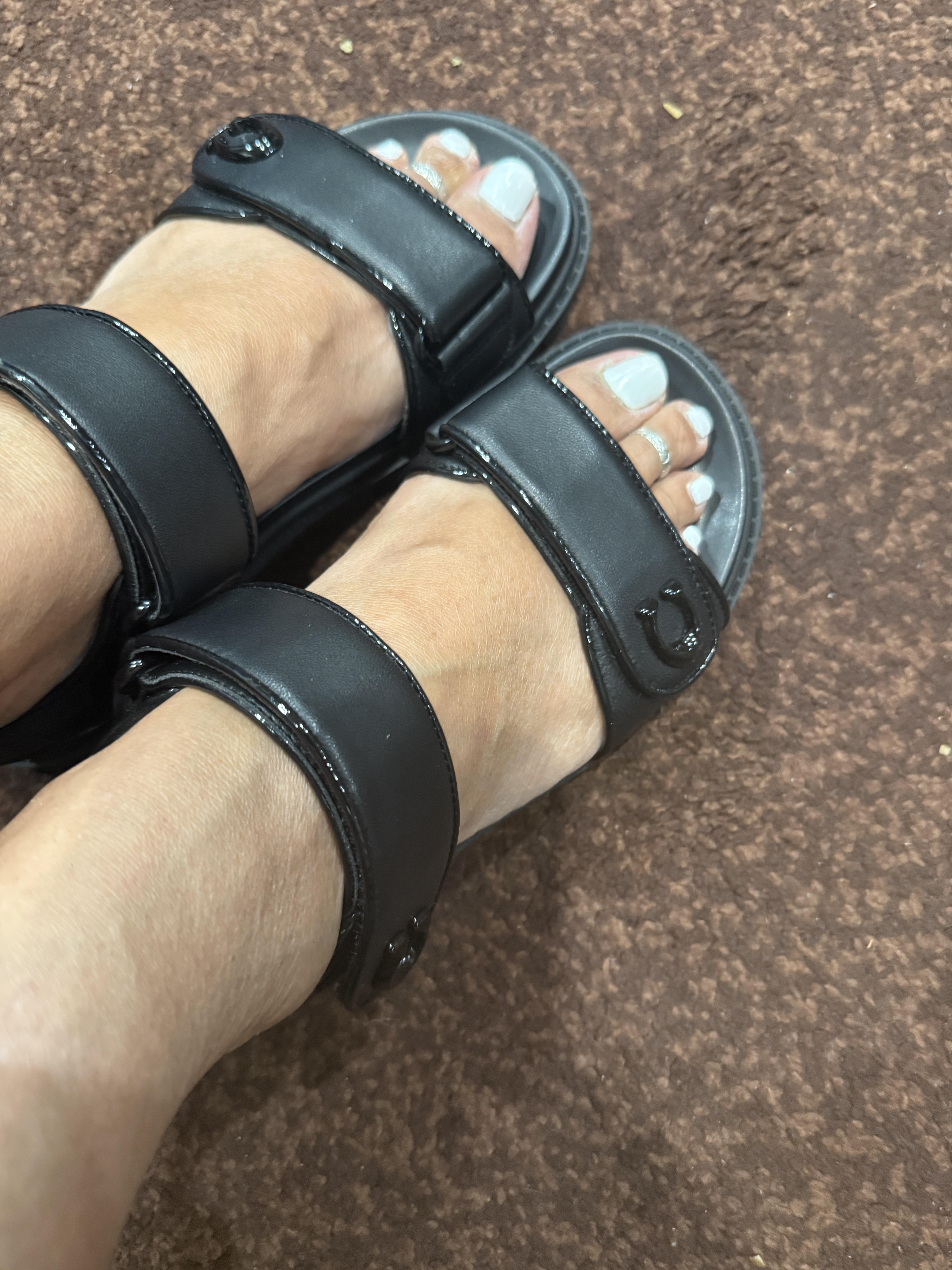 COACH ミュール ブラック #6.5 COACH ミュール ブラック #6.5