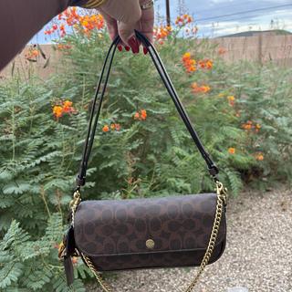 Brook Flap Chain Bag | COACH®