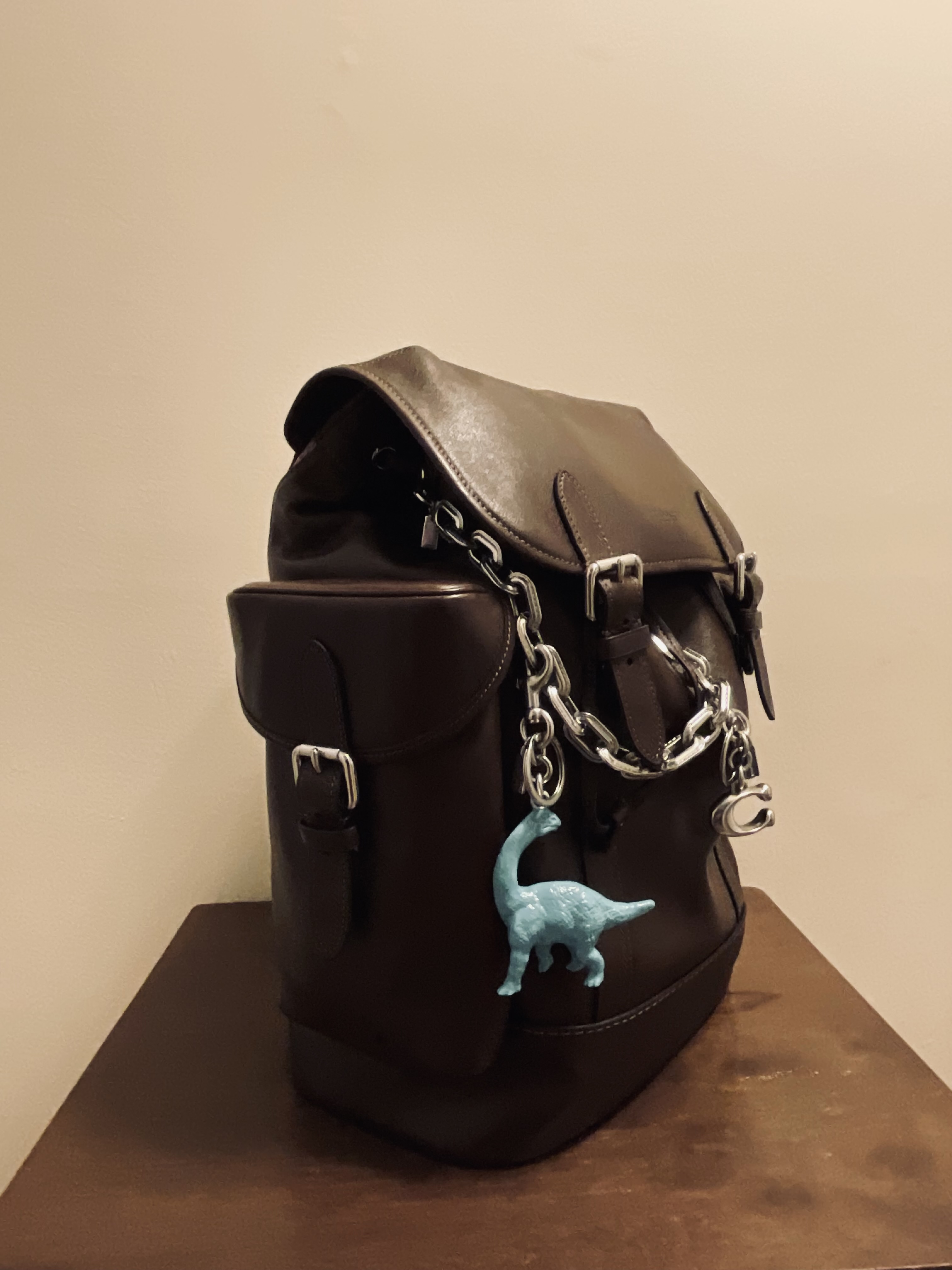 Hitch Backpack In Signature Canvas With Patches | Bags | Coach