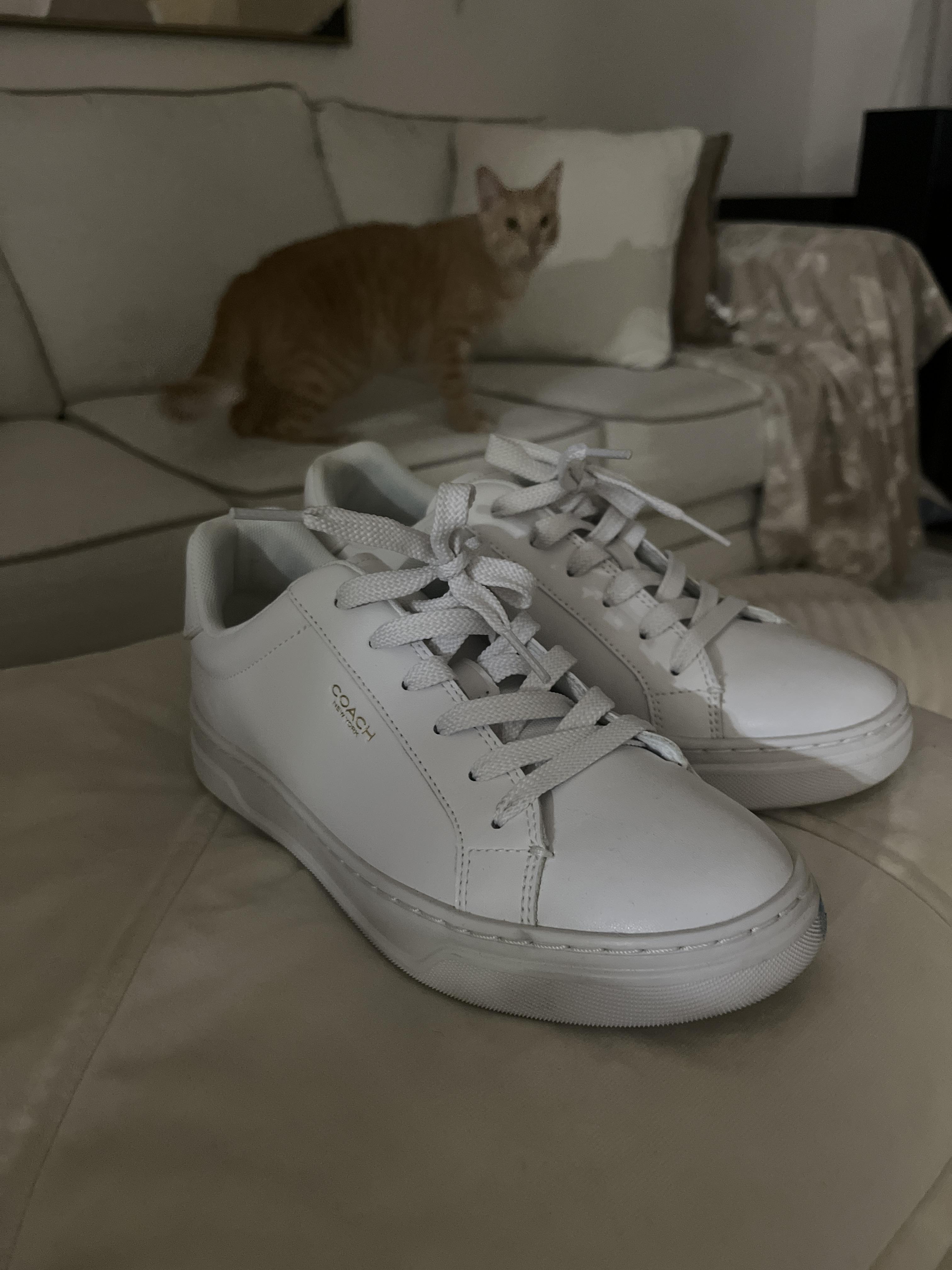 【Coach X Peanuts】 High Line Sneaker スニーカー CBZ77 COACH X Peanuts Men's High Line Sneaker with Snoopy Print