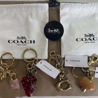 Signature Bag Charm | Accessories | Coach | COACH®