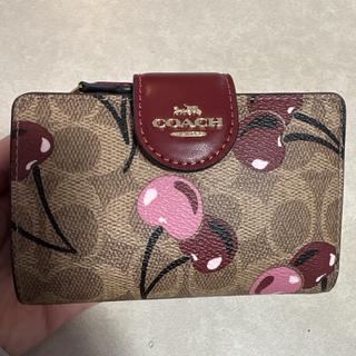 Medium Corner Zip Wallet In Signature Canvas With Kaffe Fassett
