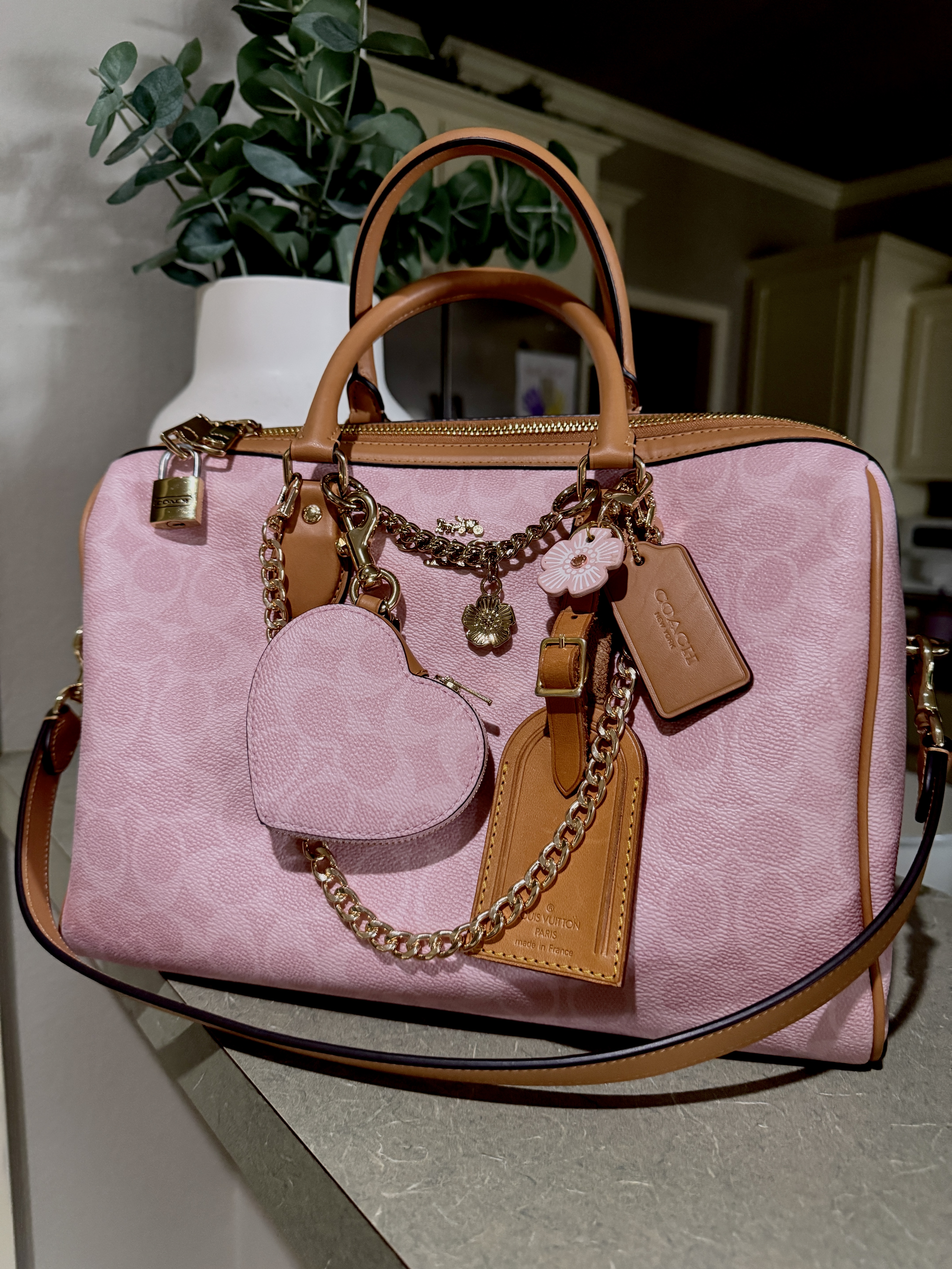 Rowan Large Satchel Bag In Signature Canvas With Charms | Bags | Coach