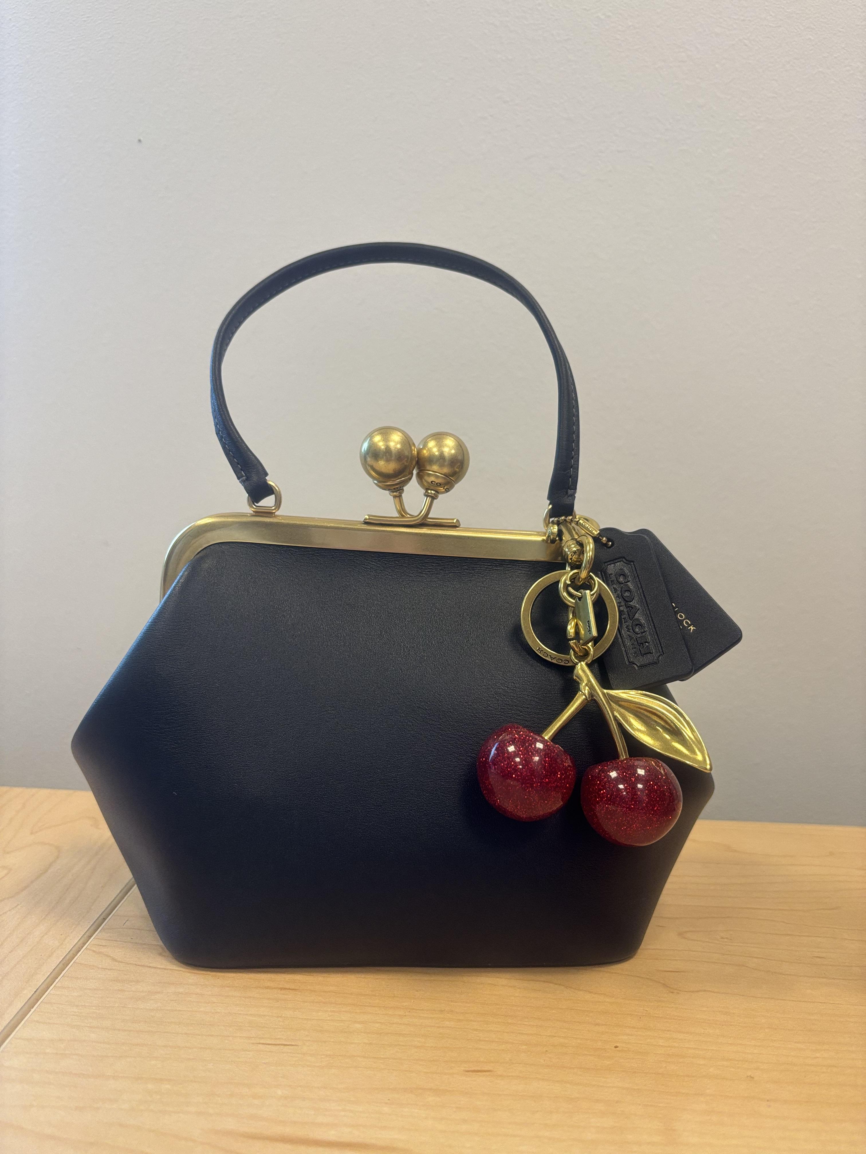 コーチ　COACH Kisslock & Turnlock Hand Bag COACH® | Large Kisslock Frame Bag