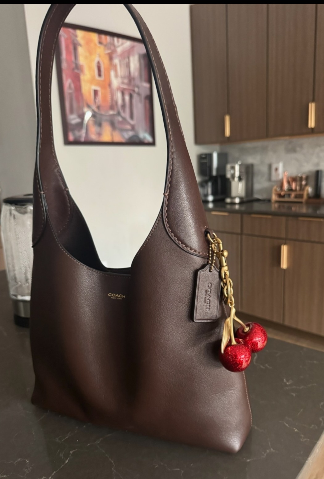 Brooklyn Shoulder Bag 28 | Bags | Coach | COACH®