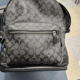 West Backpack In Signature Canvas With Rexy By Guang Yu | COACH®