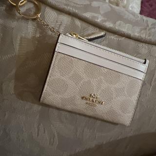 Mini Skinny Id Case With Leopard Print | COACH®