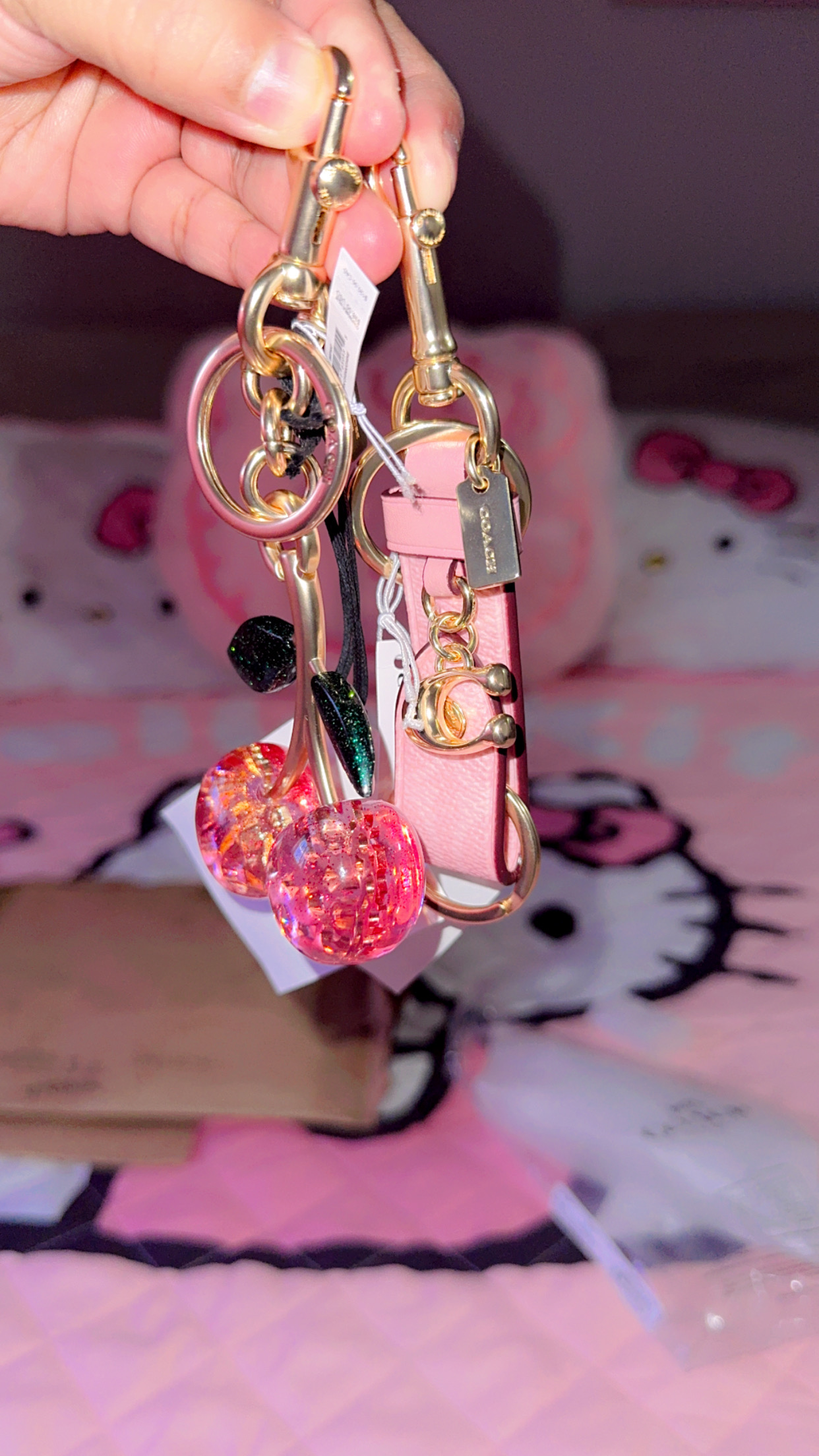 訳あり コーチ ピンク エナメル モンスター キーホルダー スワロフスキー Trigger Snap Bag Charm In Signature Canvas | Accessories | Coach