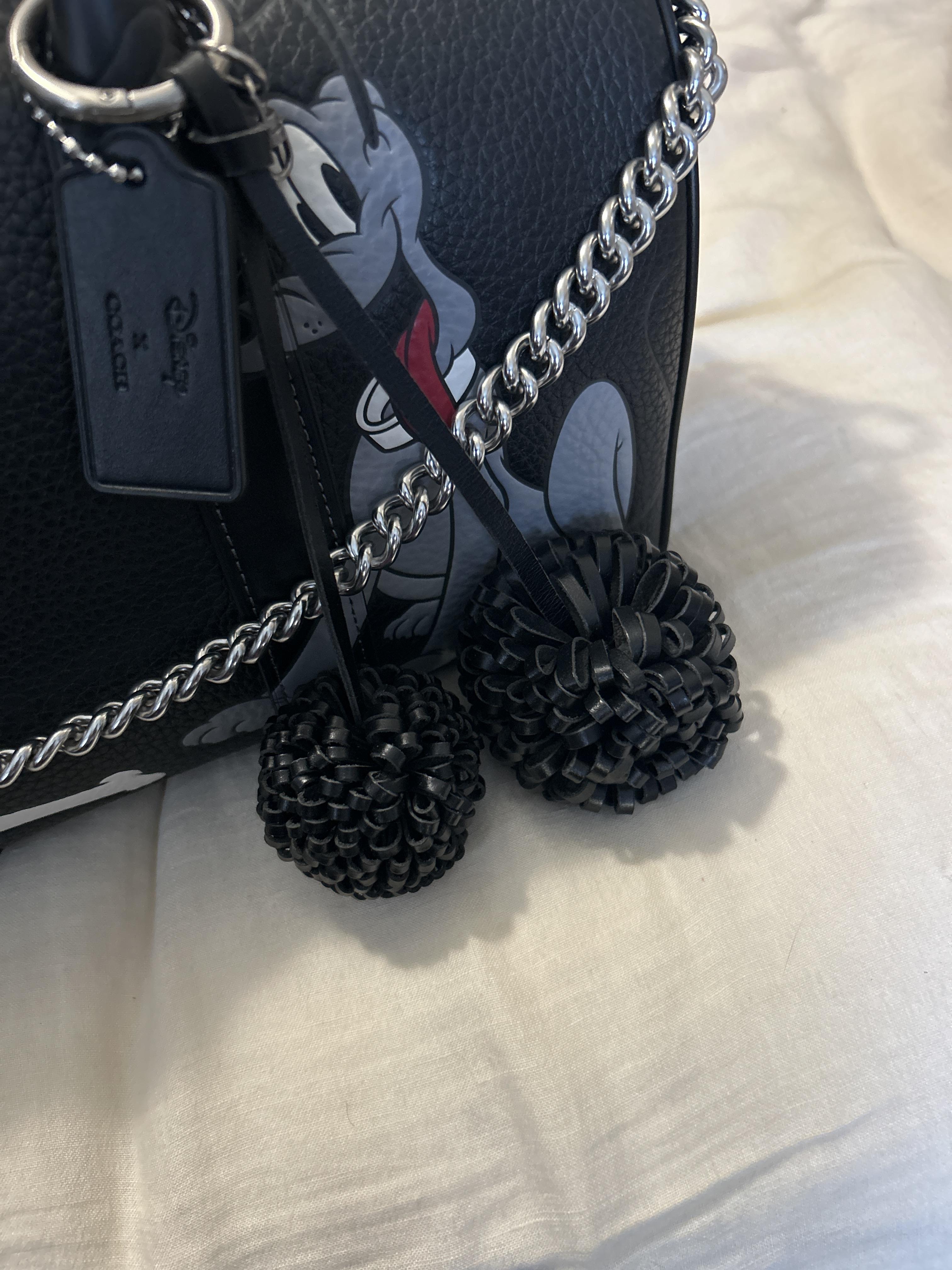 プルート（感謝）/8 Disney X Coach Compass Bag 35 With Pluto | Bags | Coach | COACH®