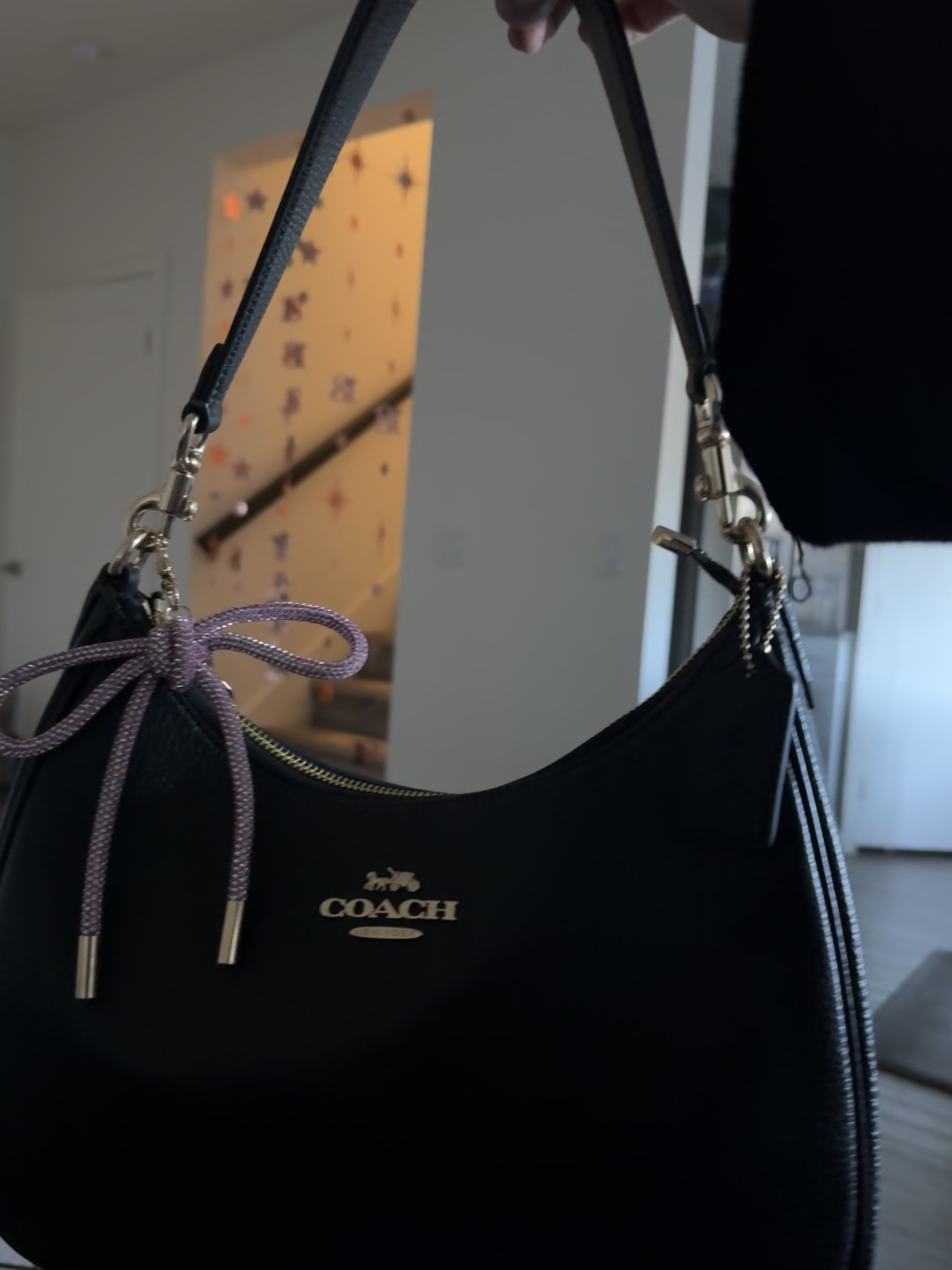 Teri Hobo Bag In Signature Canvas | Bags | Coach | COACH®