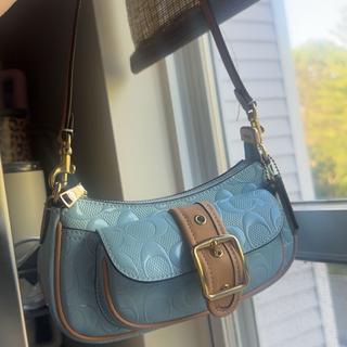 Ashton Mini Shoulder Bag In Signature Leather | Bags | Coach | COACH®
