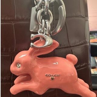 Bunny Bag Charm | Accessories | Coach | COACH®