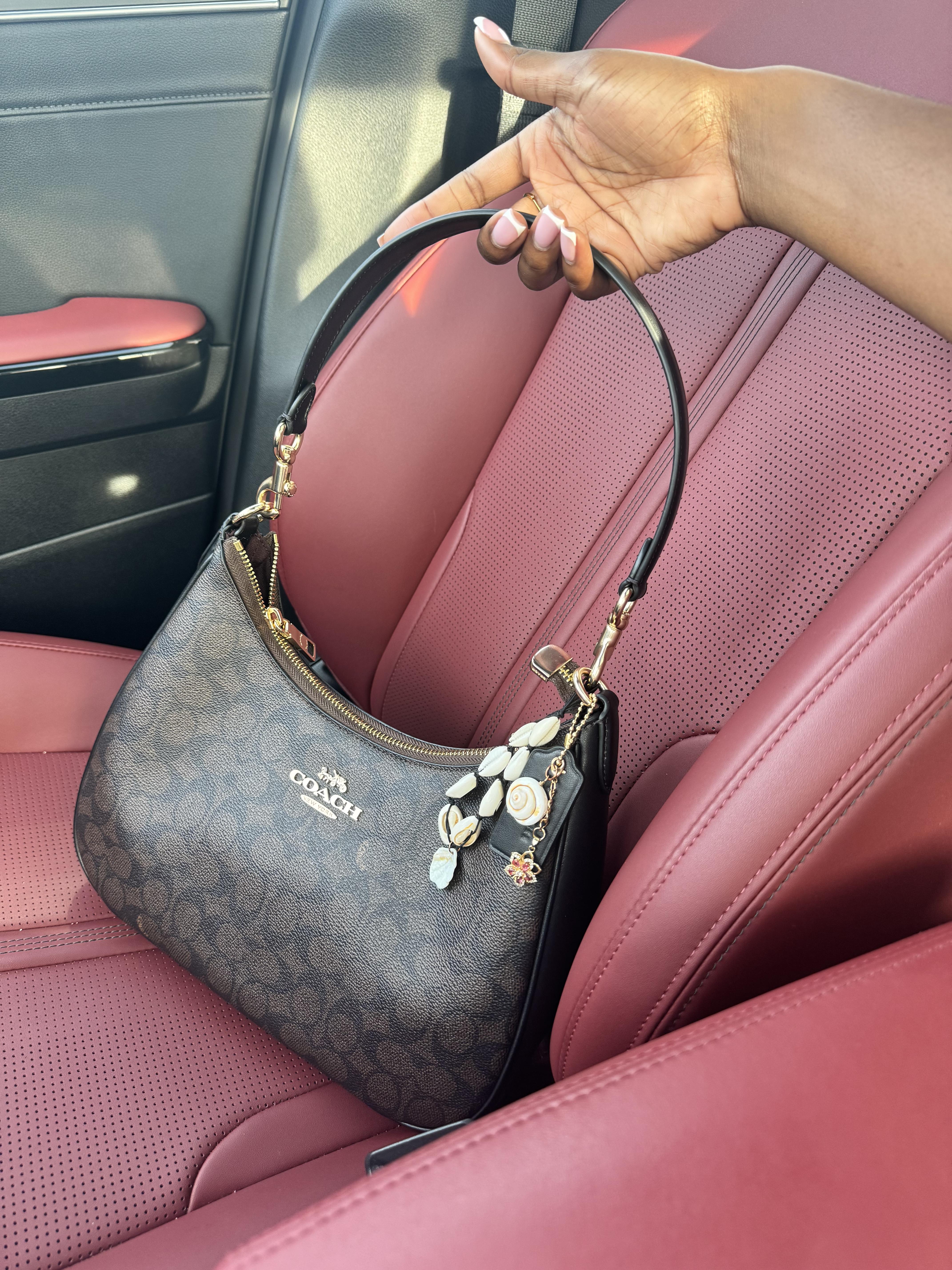 Teri Hobo Bag In Signature Canvas With Stripe | COACH®