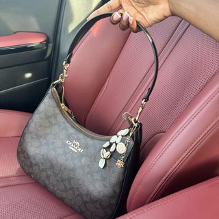 Teri Hobo Bag In Signature Canvas | Bags | Coach | COACH®