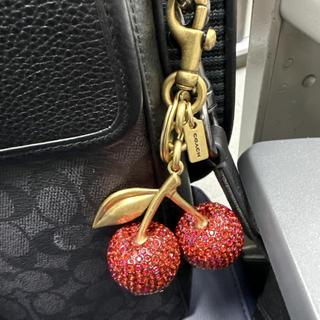 Crystal Cherry Bag Charm | Accessories | Coach | COACH®