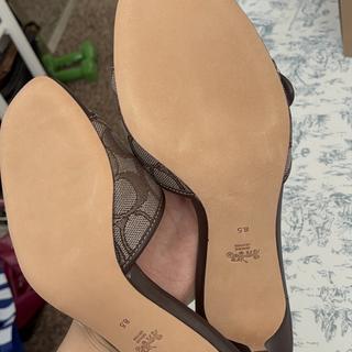 Size7B【COACH】マーゴットサンダル　ミュール　ベージュ　24cm Margot Sandal | Other Shoes | Coach | COACH®