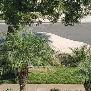 My fabulous B.m.w with cover from the cover store... .. sitting underneath a cool tree... 😂