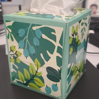 Kleenex Boutique Lotion Facial Tissue, 3-Ply, 60 Sheets/Box