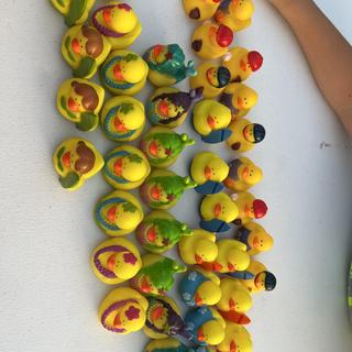 Lots of ducks!!