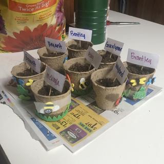 Flower pots