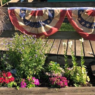 My flags