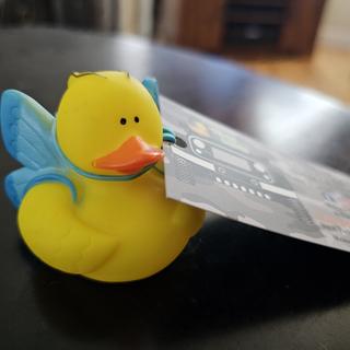Cute duck