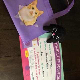 Kitty certificate