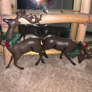 Photo of reindeer