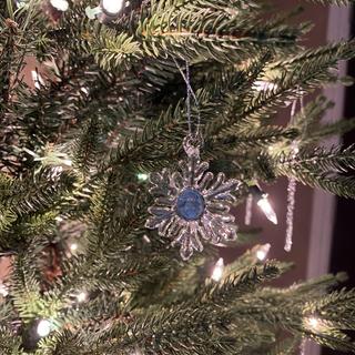 Snowflake on tree