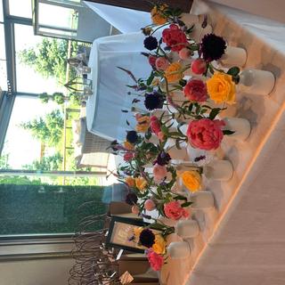 Display of flowers