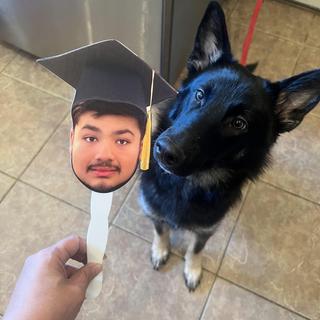 His Doggy approved!