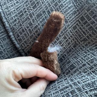 Torn antler
