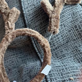 Detached antler