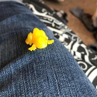 up close yellow frog