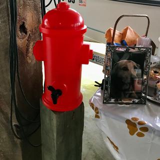 Dog water container